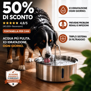 AcquaPura – Più Idratazione e Benessere per il tuo Cane